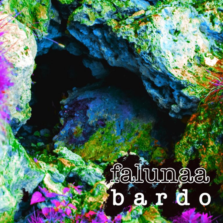 Falunaa singolo Bardo